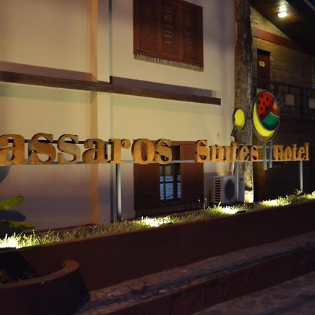 Passaros Suite Hotel Πουέρτο Ιγκουασού Εξωτερικό φωτογραφία